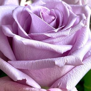 🌸 Bundle 2 or more items to save!!